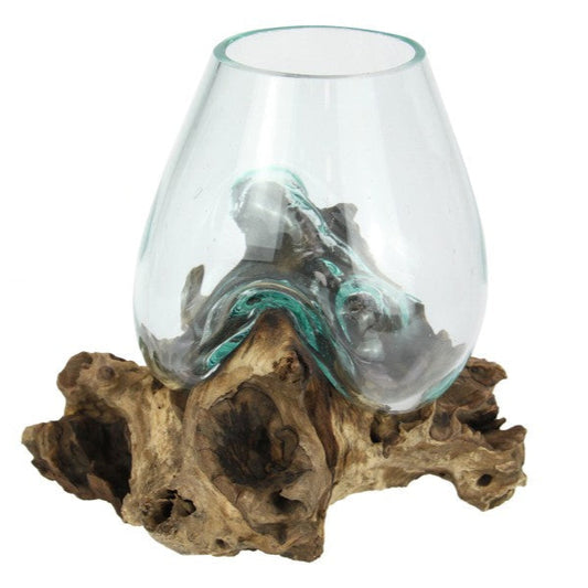 Lumi Glass Planter on Driftwood