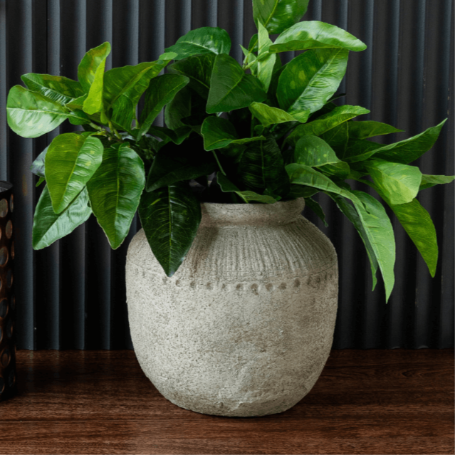 Sora Terracotta Plant Pot