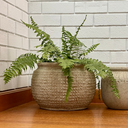 Luma Terracotta Plant Pot