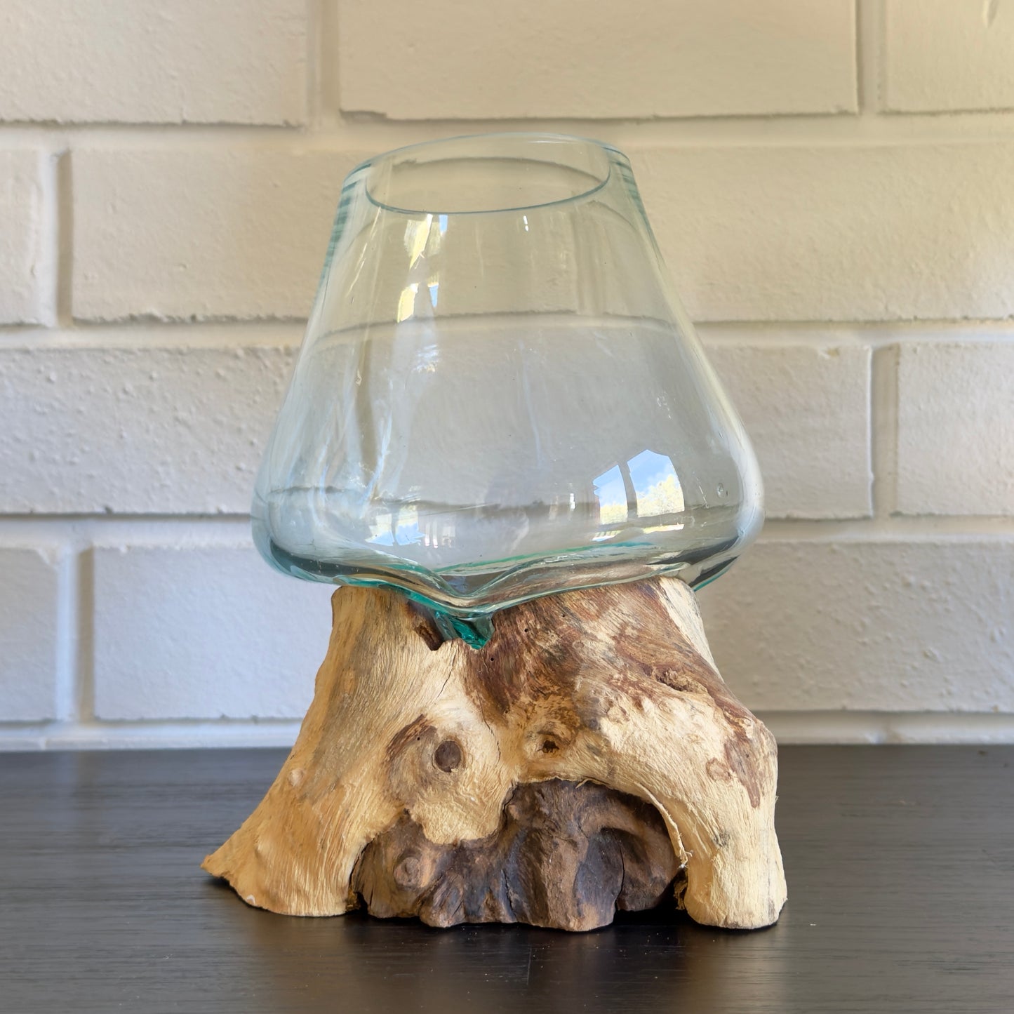 Lumi Glass Planter on Driftwood